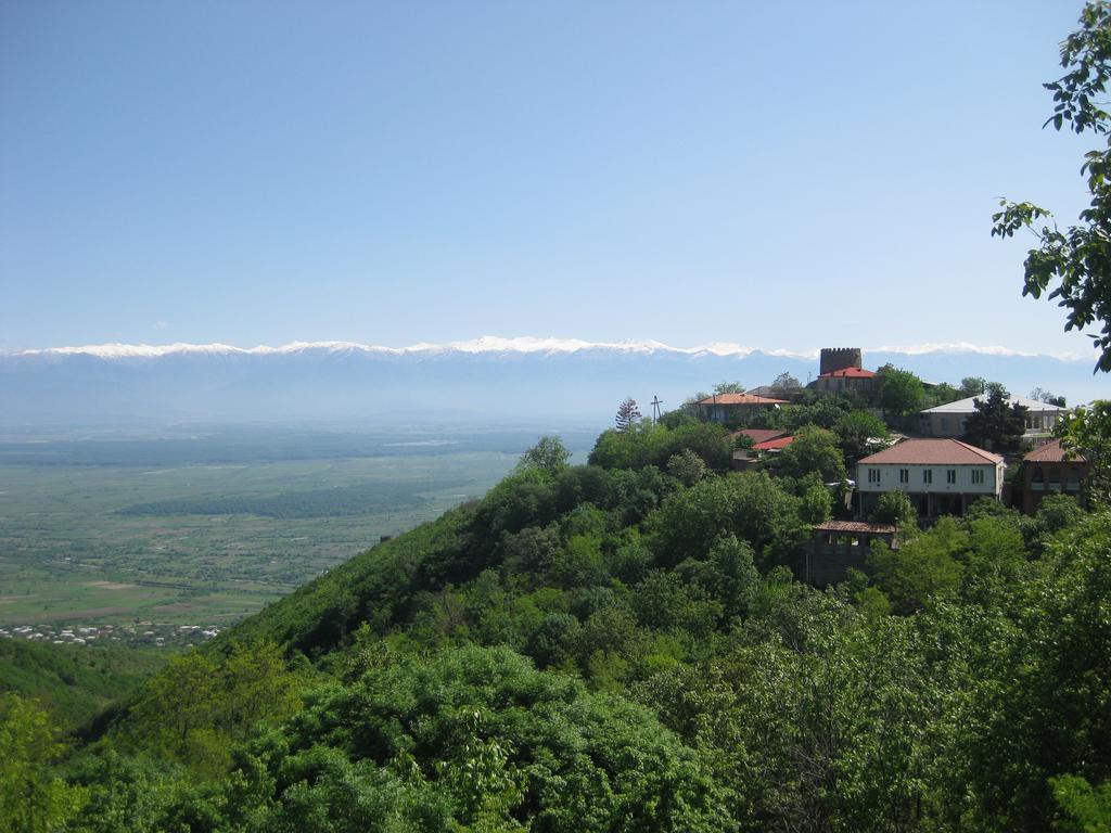 Maya Guest House Sighnaghi Exterior photo