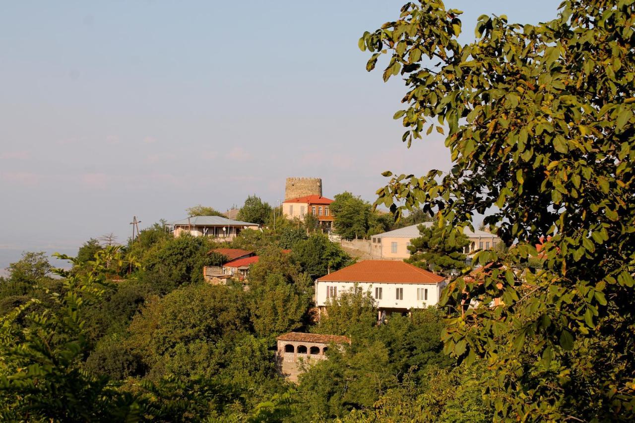 Maya Guest House Sighnaghi Exterior photo